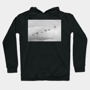 Spitfire x9 Hoodie